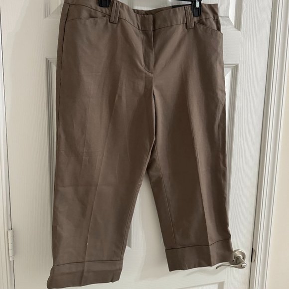 NWT Ann Taylor Signature Women's Pants, Size 14 - Picture 3 of 16